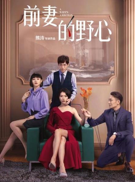前妻的野心第03集