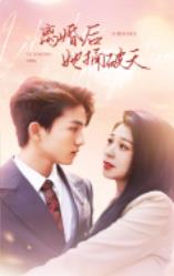 离婚后她捅破天第02集