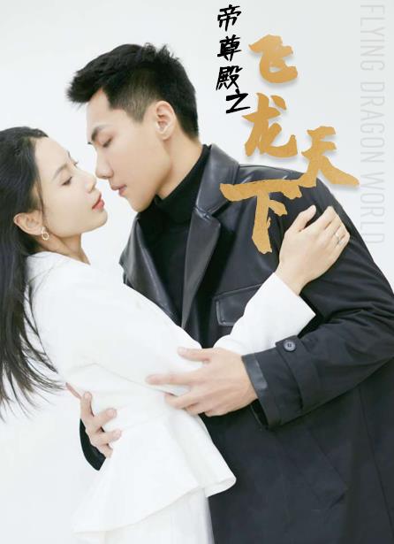 帝尊殿之飞龙天下第26集