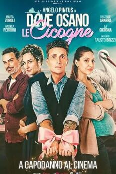 鸽子飞翔的地方