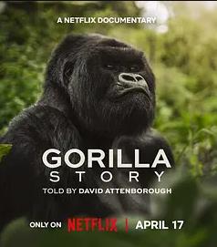 大卫·艾登堡：大猩猩的故事